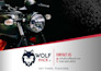 create a profesional flyer, postcard or brochure